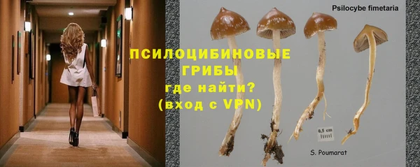 экстази Аркадак