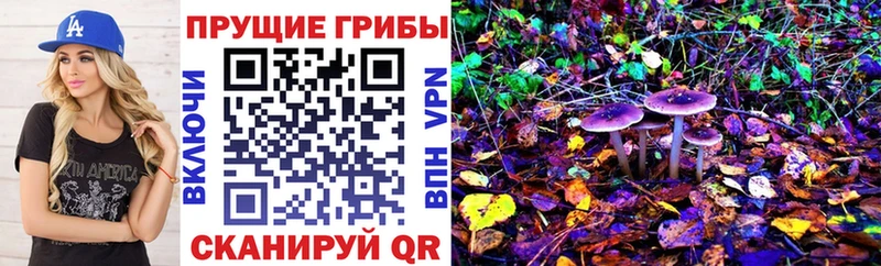 Псилоцибиновые грибы мухоморы  это клад  Терек  хочу наркоту  KRAKEN сайт 